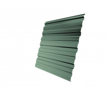 Профнастил C10R 0,45 PE RAL 6019 бело-зеленый