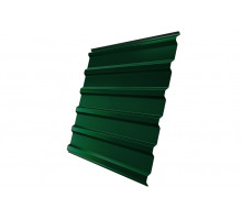 Профнастил C20R 0,45 PE-Double RAL 6005 зеленый мох